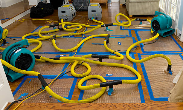 Professional Emergency Water Removal technician working in Grandview, TX